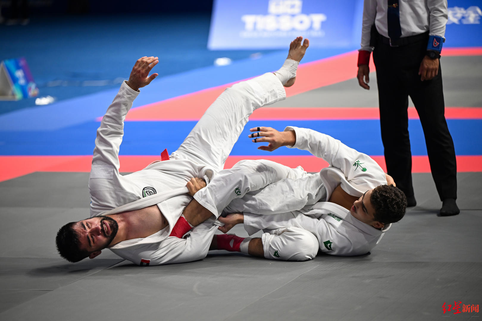 极美图集丨, 字固技术制